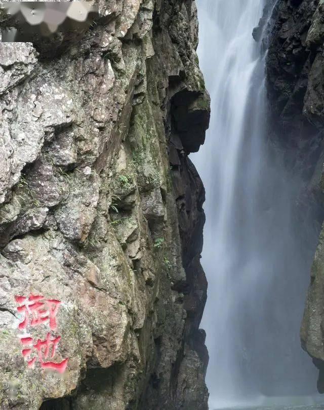 球球大作战下载最新版