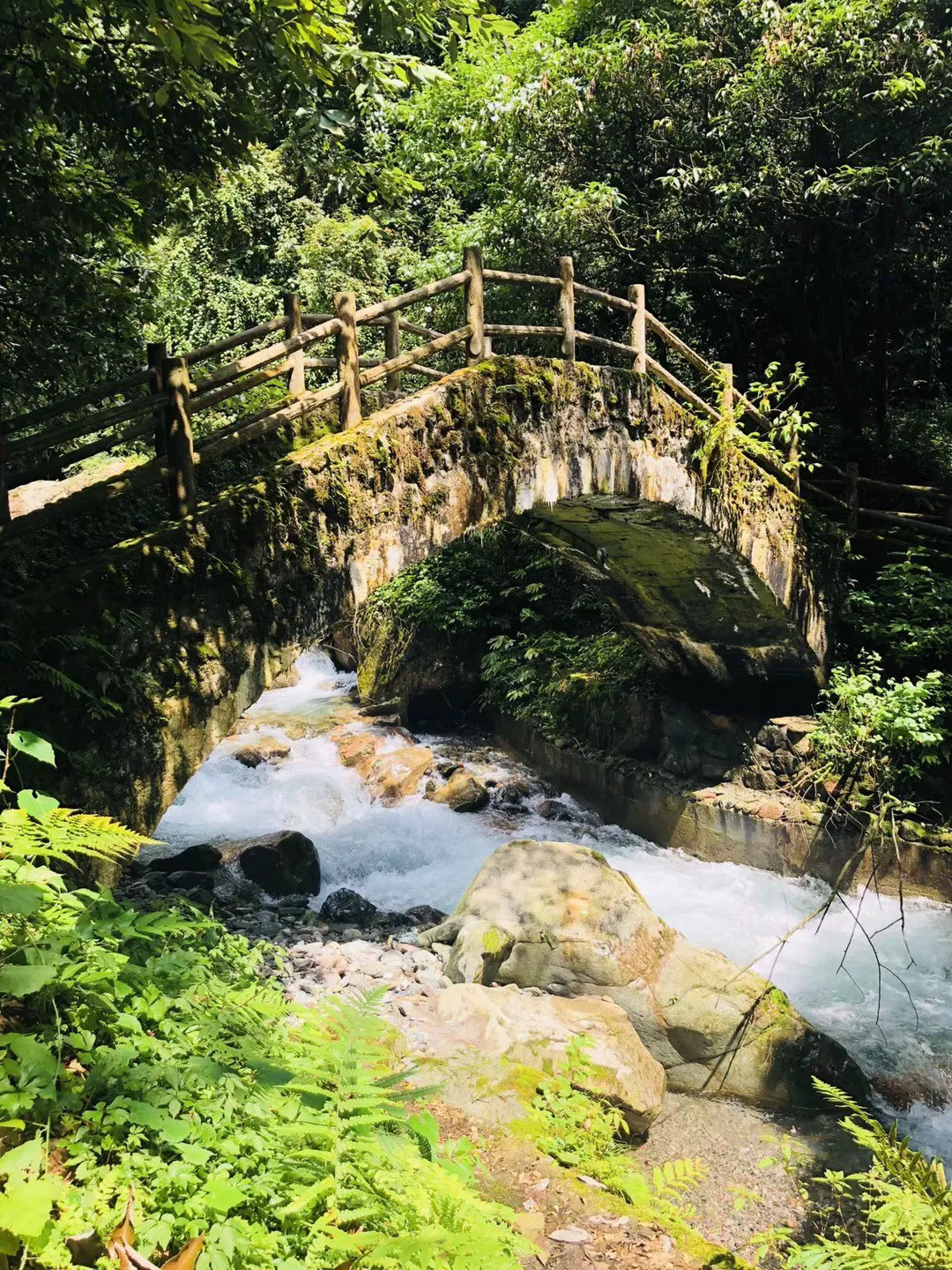 动物帮帮忙保卫家园