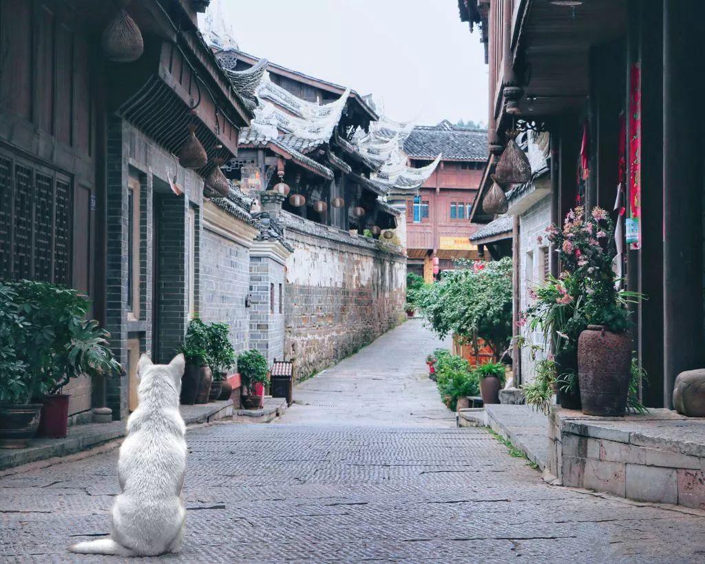 冷知识分享平台-怎么画打乒乓球的样子,揭秘你不知道的世界奇闻!